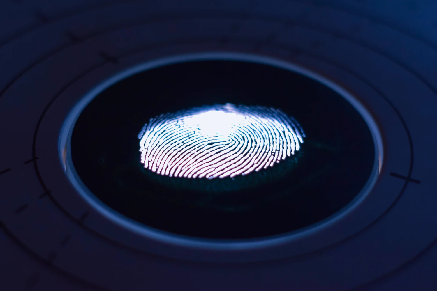 autenticacion biometrica autentificacion huella dactilar reconocimiento facial iris biometric autenthication manusa automatic door