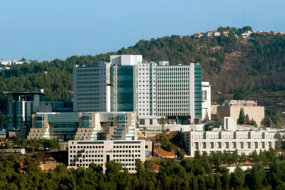 Puertas telescópicas abatibles en Centro Médico Hadassah