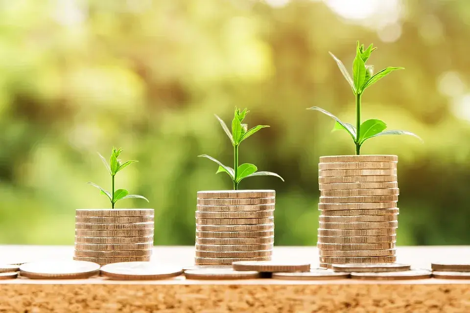 La economía circular: tu gran aliado en el compromiso medioambiental